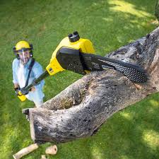 Best Utility Line Clearance  in Sewanee, TN