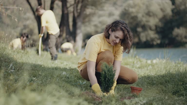Best Lawn Watering Services  in Sewanee, TN