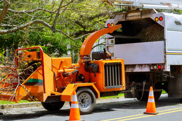 Best Arborist Consultation Services  in Sewanee, TN
